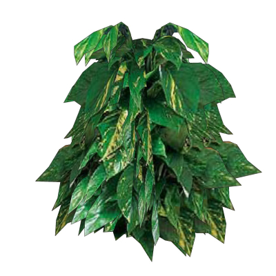 现代花草植物免费su模型(1)