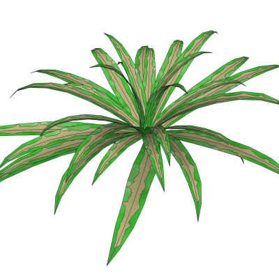 现代花草植物免费su模型(1)