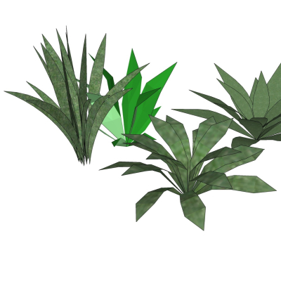 现代花草植物免费su模型(1)
