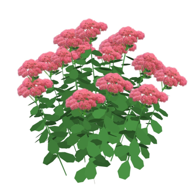 现代花草植物免费su模型(1)