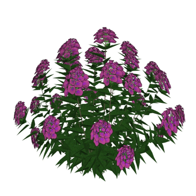 现代花草植物免费su模型(1)