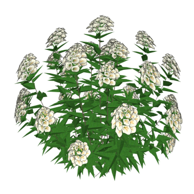 现代花草植物免费su模型(1)