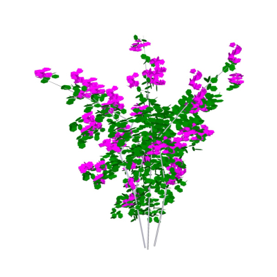 现代花草植物免费su模型(1)