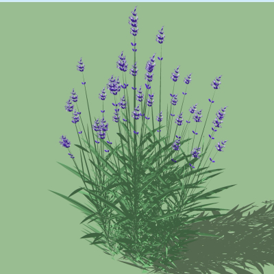 现代花草植物免费su模型(1)