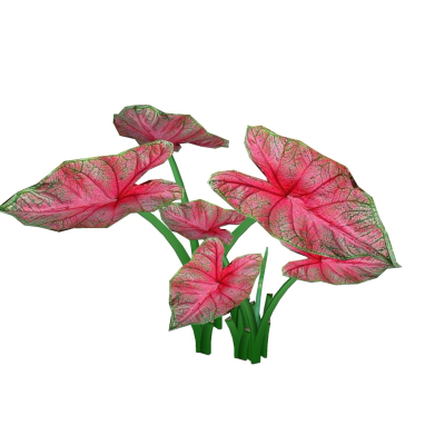 现代花草植物免费su模型(1)