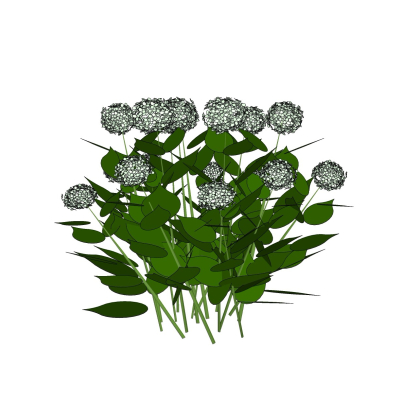 现代花草植物免费su模型(1)