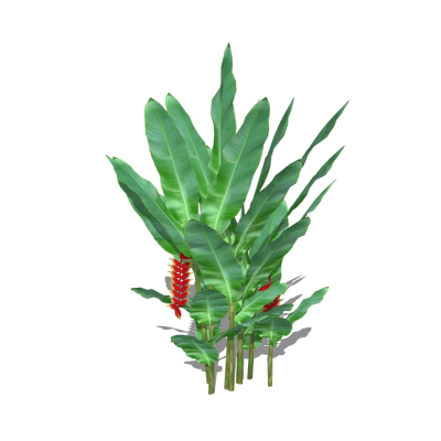 现代花草植物免费su模型(1)