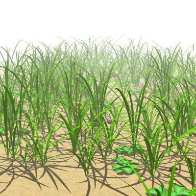 现代花草植物免费su模型(1)