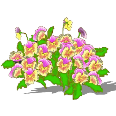 现代花草植物免费su模型(1)