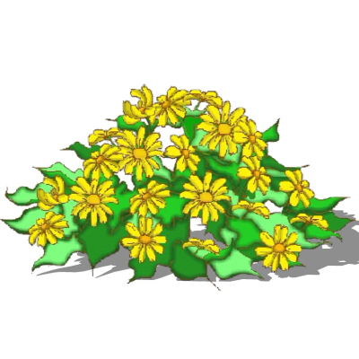 现代花草植物免费su模型(1)