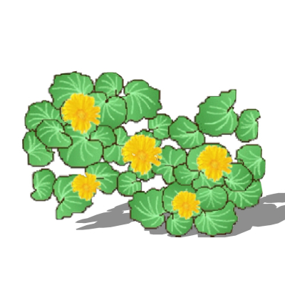 现代花草植物免费su模型(1)