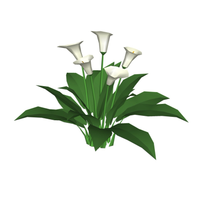 现代花草植物免费su模型(1)