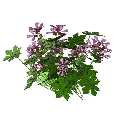 现代花草植物免费su模型(1)