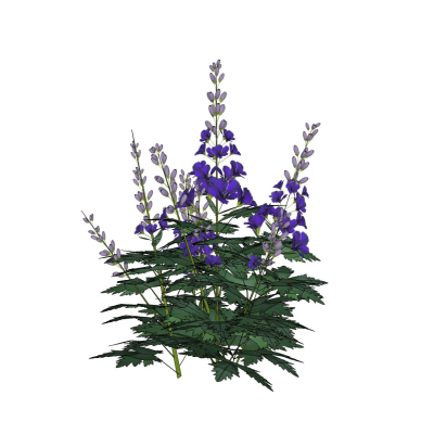 现代花草植物免费su模型(1)