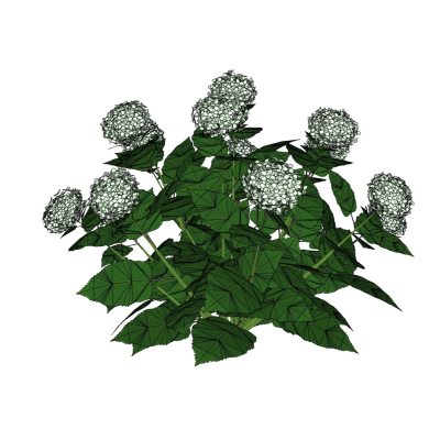 现代花草植物免费su模型(1)