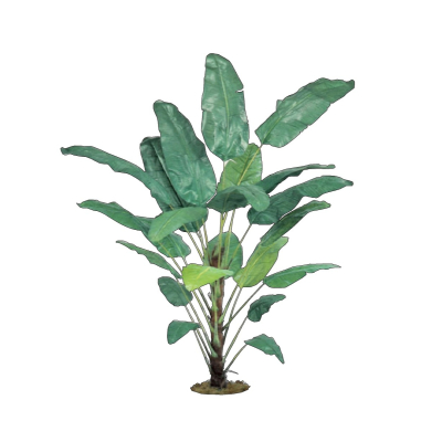 现代花草植物免费su模型(1)