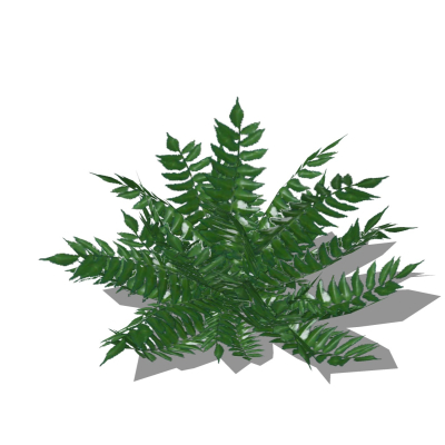 现代花草植物免费su模型(1)