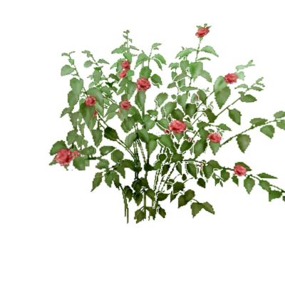 现代花草植物免费su模型(1)