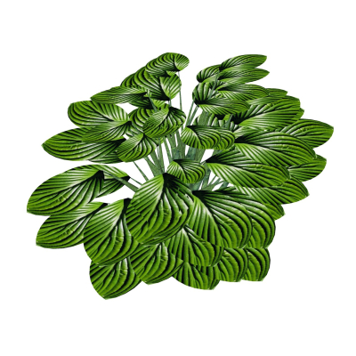 现代花草植物免费su模型(1)