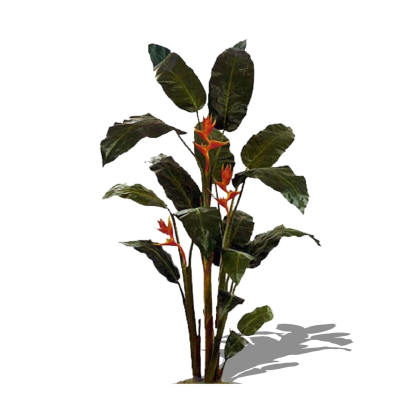 现代花草植物免费su模型(1)