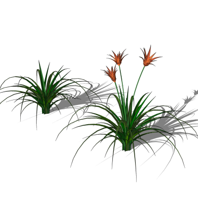 现代花草植物免费su模型(1)
