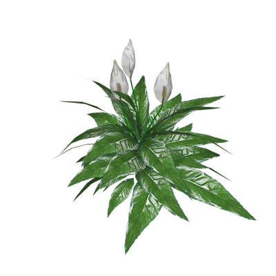 现代花草植物免费su模型(1)