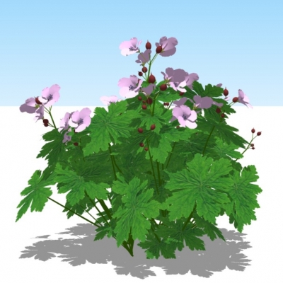 现代植物花草免费su模型(1)