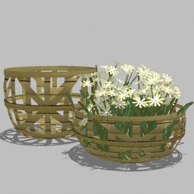 现代雏菊花篮免费su模型(1)