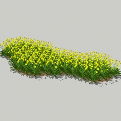 现代油菜花圃免费su模型(1)