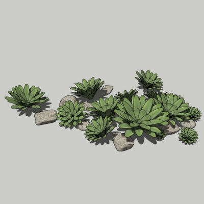 现代地被植物草组合免费su模型(1)