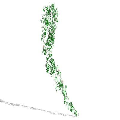 现代绿植藤蔓免费su模型