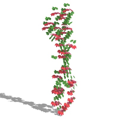 现代绿植藤蔓免费su模型