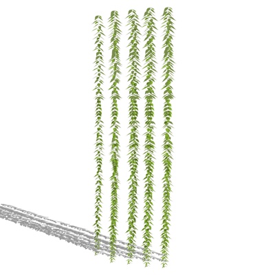现代绿植藤蔓免费su模型(1)
