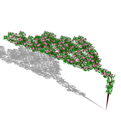 现代绿植藤蔓免费su模型(1)