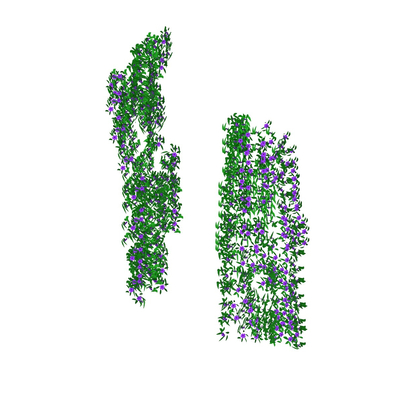 现代花卉藤蔓免费su模型