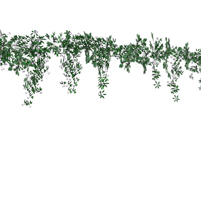 现代吊兰植物免费su模型(1)