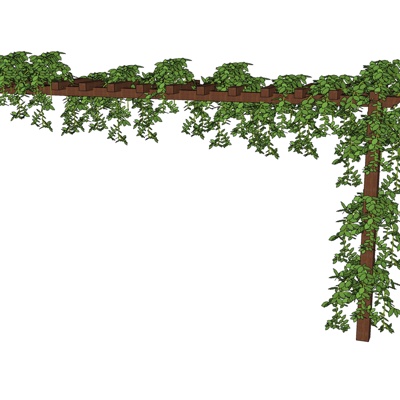 现代藤蔓免费su模型(1)