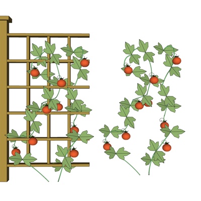 现代绿植藤蔓免费su模型(1)