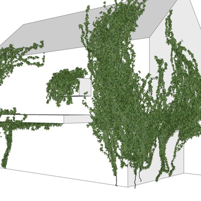 现代绿植藤蔓免费su模型(1)