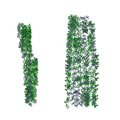 现代绿植藤蔓免费su模型