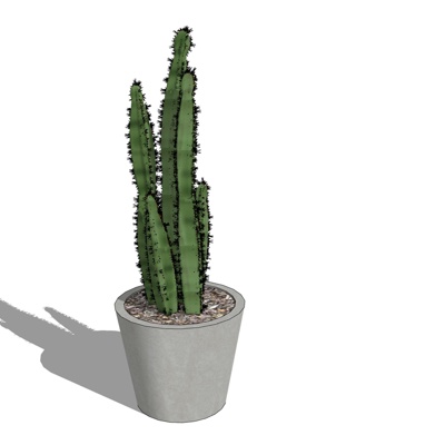 现代多肉植物盆栽免费su模型(1)