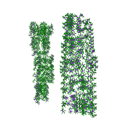 现代藤蔓免费su模型
