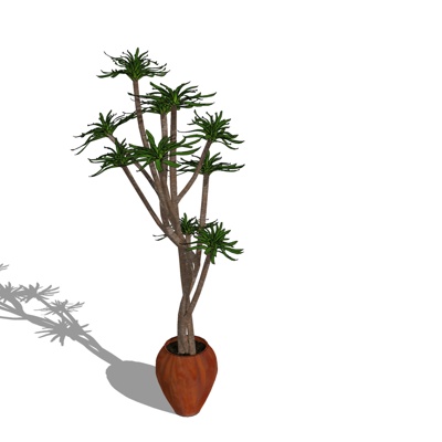 现代绿植盆栽免费su模型(1)