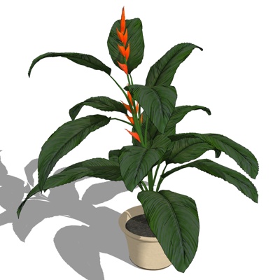 现代绿植盆栽免费su模型(1)