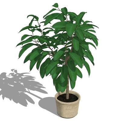 现代绿植盆栽免费su模型(1)