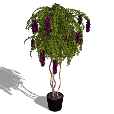 现代绿植盆栽免费su模型(1)
