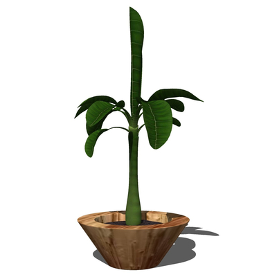 现代绿植盆栽免费su模型(1)