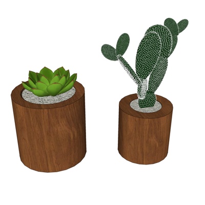 现代多肉植物盆栽免费su模型(1)