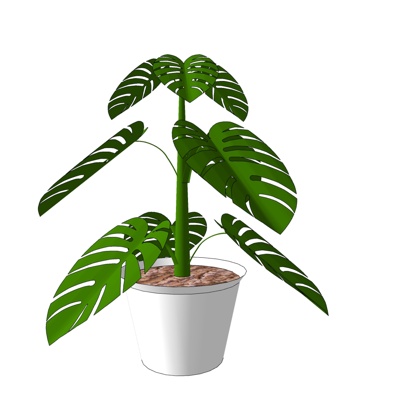 现代绿植盆栽免费su模型(1)
