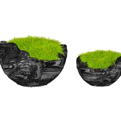 现代花草盆栽免费su模型(1)